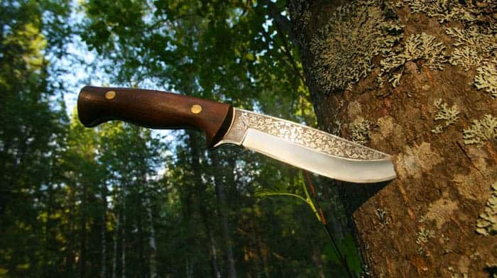 The Best Knife for Skinning Deer: See Our Top Pick!
